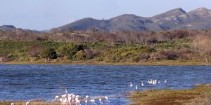Gansbaai & Pearly Beach Horse Trails