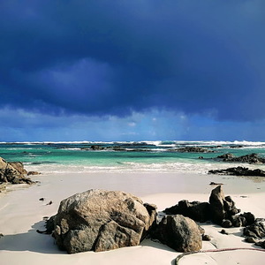 Gansbaai & Pearly Beach Horse Trails