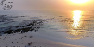 Gansbaai & Pearly Beach Horse Trails