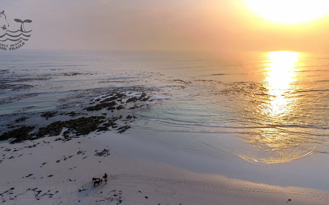 Gansbaai & Pearly Beach Horse Trails