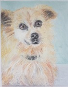 Small Pastel Dog Drawing