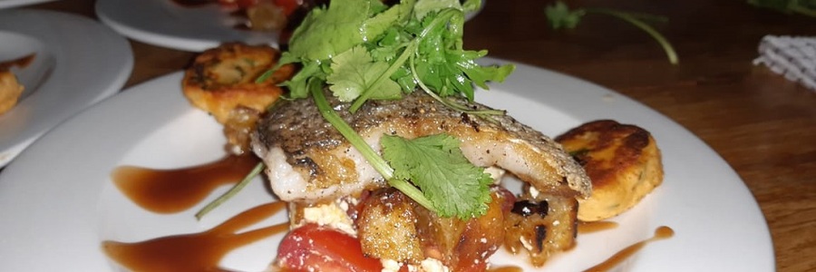 stoep_cafe_banner_1569234819