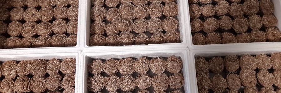 0009098f_c11c_4d14_8a1d_ac67a9a74de1_1569235068