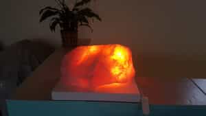 Salt Rock Turned Into A Decorative Night Lamp