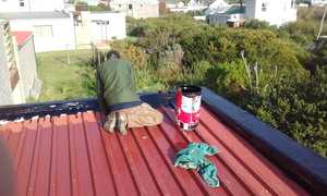 Recent Flooring & Painting Project