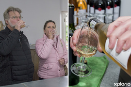 Wine Tasting @ Wine & Company