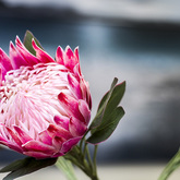 Hermanus - APBCO Accountants Hermanus - Decor 