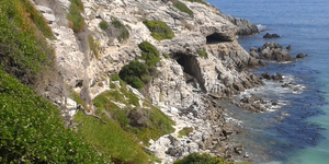 20140413_123016_1570017915