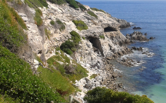 20140413_123016_1570017915