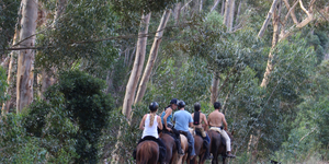 horse_outrides_2000x1855_1570017916