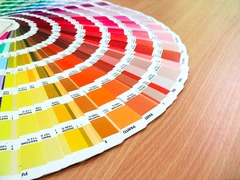 4 Tips For Choosing The Right Paint Colour