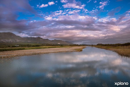 Lady_stanford_view_of_river_and_mountain_1519734970_1570542747