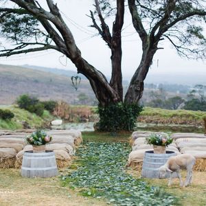 wedding_seating_area_1502172989_1570543982