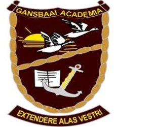 Special Directors Award for Academia