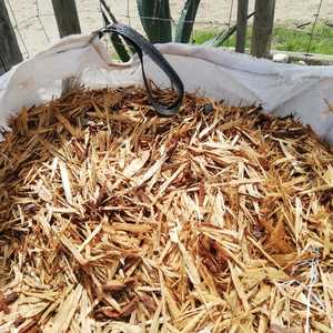 WhatsApp_Image_2019_10_11_at_11.28.57_1_1570800110