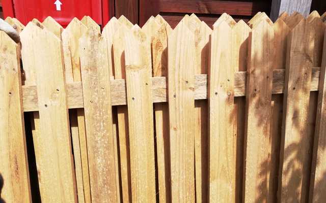 WhatsApp_Image_2019_10_11_at_11.28.59_2_1570800111