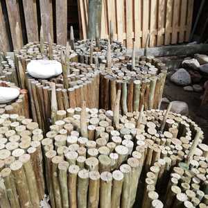 WhatsApp_Image_2019_10_11_at_11.28.59_3_1570800112