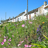 CABA (Cape Agulhas Business Association) - Elim