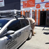 Vinyl Decals - Picasso Signs - Hermanus