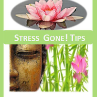 Hermanus - Bridget Edwards - Stress Gone Tips