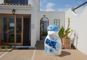 Gaia - Our Penguin Advocate at Saxon Lodge