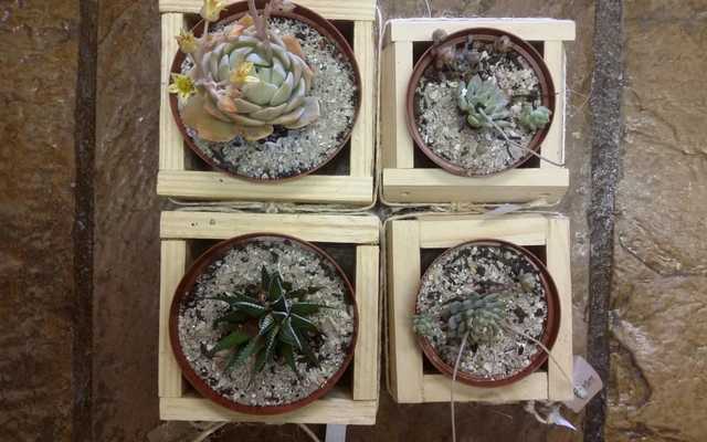 WhatsApp_Image_2019_10_17_at_13.34.47_1571317677