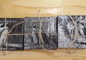 Stunning New CoastersÂ 