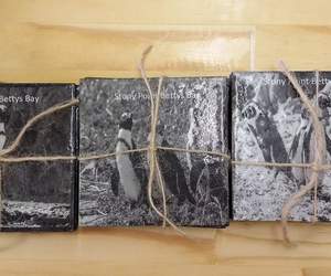 Stunning New CoastersÂ 