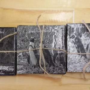 WhatsApp_Image_2019_10_18_at_09.45.00_1571386907