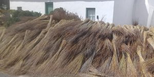 08_IMG_20190107_WA0003_1571591318