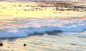 Psalm van die Visserman