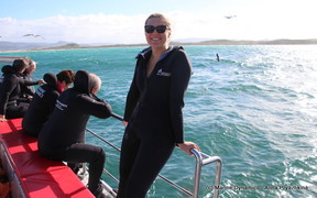 Daily Blog 21 October 2019 | White Shark Diving Gansbaai