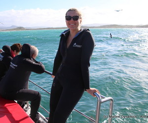 Daily Blog 21 October 2019 | White Shark Diving Gansbaai