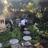 Organic Garden - Blue Goose - Gansbaai