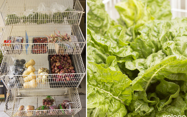 napier_speciality_shop_die_melkstal_fresh_grown_veggies_1543909632_1571918374