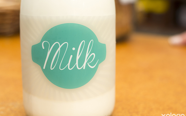 napier_speciality_shop_die_melkstal_pasturised_fresh_milk_1543909613_1571918374
