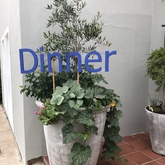 Blue Goose - Gansbaai