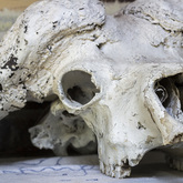 Betty's Bay - Sea Way Self-catering Accommodation - The Detail