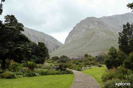bettys_bay_things_to_do_harold_porter_botanical_garden_foot_path_mountain_1572352677