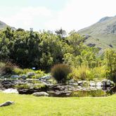 Betty's Bay - Harold Porter Botanical Gardens - Garden Pond