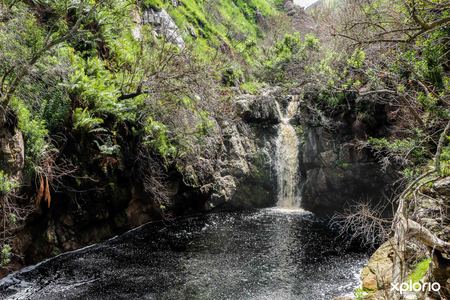 bettys_bay_things_to_do_harold_porter_botanical_garden_waterfall_1572353061