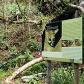 Betty's Bay - Harold Porter Botanical Gardens - Information Sign