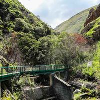 Betty's Bay - Harold Porter Botanical Gardens -