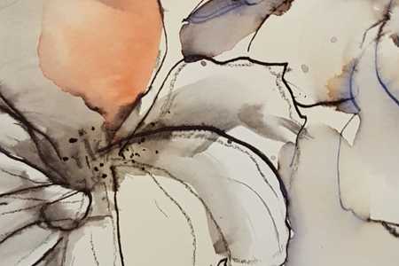 WhatsApp_Image_2019_10_29_at_21.46.48_1572421648