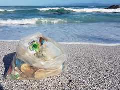 Passionate about the ocean and keeping it clean!