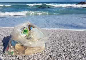 Passionate about the ocean and keeping it clean!