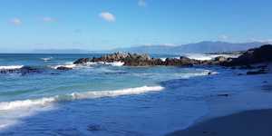 WhatsApp_Image_2019_10_31_at_09.26.01_1572527024