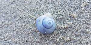 WhatsApp_Image_2019_10_31_at_09.26.06_1_1572527025