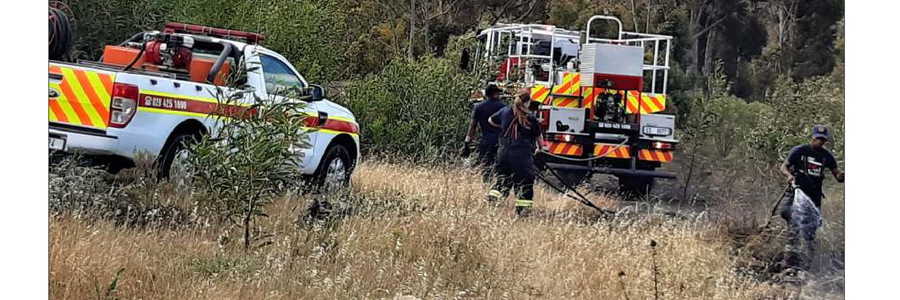 Suidernuus_1_November_2019_Voorblad_1_1572603169