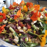 Spring Delicious Meal - Blue Goose - Gansbaai